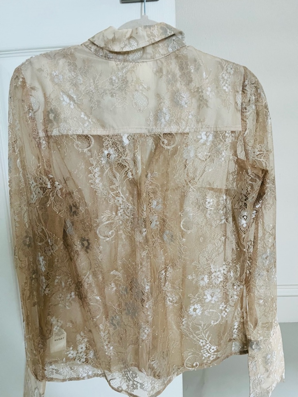 Maeve Anthropologie Sheer Lace Button-Down Shirt in Beige - Picture 5 of 7